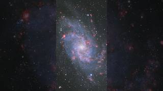 49 hours of exposure of the Triangulum Galaxy M33 traingulum galaxy space telescope [upl. by Notyalk986]