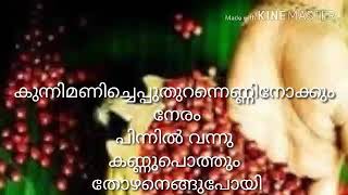 Kunnimani cheppu thurannu malayalam lyrics with song  കുന്നിമണി ചെപ്പ് തുറന്ന് [upl. by Reviere943]