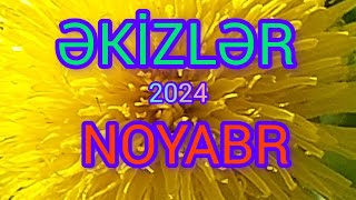 ƏKİZLƏR BÜRCÜ♊️ NOYABR ✅️ TAROPROQNOZ 2024 [upl. by Rosalie698]