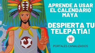 COMO USAR EL CALENDARIO O SINCRONARIO MAYA DE 13 LUNAS 🌈🌎 [upl. by Aron]