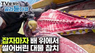 이 거대한 대물 황다랑어는 우리 돈 24만 원에 일본으로 수출됩니다｜한 달 월급 18만 원 인도네시아 참치 어부｜술라웨시 바다｜인간과 바다｜골라듄다큐 [upl. by Inohs937]