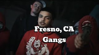 Fresno California Gangs Fresno County Most Dangerous Gangs [upl. by Dnaletak425]