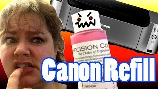 So Scary Refilling the Canon pixma pro with Precision Inks [upl. by Livvyy866]