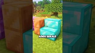 Block Paling ILLEGAL Di Minecraft [upl. by Nuahc]