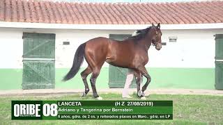 08 LANCETA [upl. by Morry]