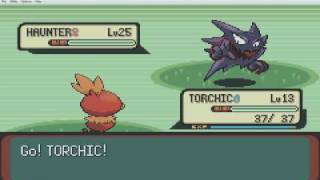 Pokemon Emerald hack new pokemon [upl. by Nnad94]