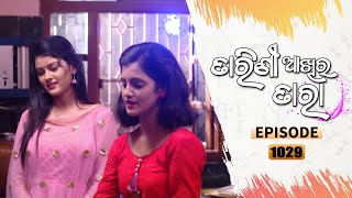 Tarini Akhira Tara  Full Ep 1029  9th July 2021  Odia Serial – TarangTV [upl. by Richmound]