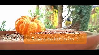 Schöne Herbstferien [upl. by Baumbaugh]