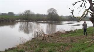 The Severn Bore  March 11th 2024 [upl. by Anileve902]