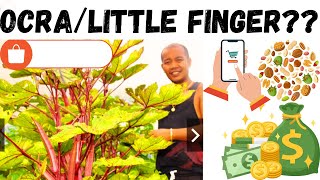 HOW to BUY the SEED online SHOPEE INDONESIA [upl. by Caines859]