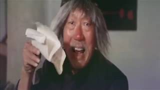 DRUNKEN MASTER 2 Dance of the Drunken Mantis Martial Arts Movie English dubbed RETRO101 [upl. by Aihsined]