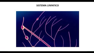 Rehabilitación post mastectomía radical linfedema dolor neuropático [upl. by Yrrag]