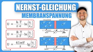 NernstGleichung Physiologie  Membranspannung  Physikum M1 Übungsaufgaben [upl. by Ynffit800]