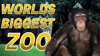 I Explored The Worlds LARGEST Zoo [upl. by Gaskins965]