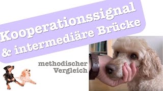 methodischer Vergleich medizinisches Training mit Kooperationssignal amp intermediärer Brücke [upl. by Jollanta]