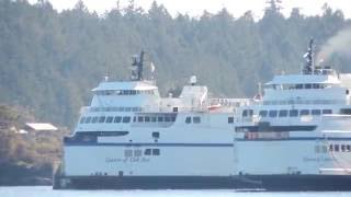 Queen of Oak Bay BC Ferries [upl. by Naenej]