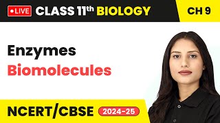 Enzymes  Biomolecules  Class 11 Biology Chapter 9 live [upl. by Brownson180]