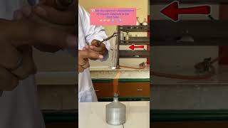 Practical Guru Monu Sharma water of crystallisation in Copper sulphate Class X [upl. by Melton]