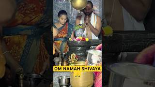 Karthika Masam Abhishekam 🙏omnamahshivaya lordshiva trending ytshorts [upl. by Turk]