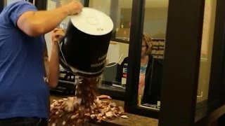 This guy paid his 220 speeding ticket in pennies [upl. by Coucher]