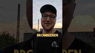 Brombeeren 🌿 garten9 kleingarten schrebergarten garten gartenarbeit YouTubeCreatorCommunity [upl. by Goodman]