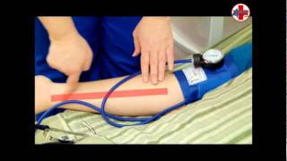 Instructional Video for Measuring Blood Pressure CNA Skill [upl. by Burny]