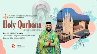 Holy Qurbana  Rev Fr Jithin zachariah  St Marys Orthodox Church Mallassery  AUGEN LIVE [upl. by Sou]