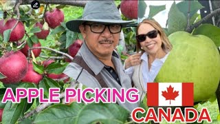 Apple Farm Apple Picking jhunespinotv7479 SagipSquad project89 filmanxvlog [upl. by Belldas]