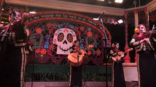 Mariachi Divas Perform at Disney California Adventure [upl. by Erikson500]