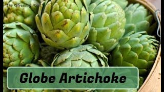 Globe Artichoke Leaf Extract Lowers Cholesterol amp Protects Your Liver Disease Fighting amp AntiAging [upl. by Crosby406]