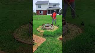 Satisfying Gardening Work 🌳 garden cleaning grass lawn viral fyp story 111 [upl. by Leal]