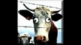 How to identify mad cow disease [upl. by Brick]