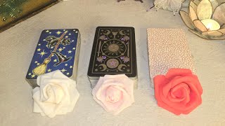 💫🦋¿QUÉ PASARÁ A PARTIR DE AHORA🦋💫 Tarot interactivo [upl. by Anitsahs]