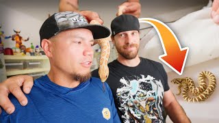 Uncut BehindtheScenes Brian Kusko Hosts SoCalHerps and Shows Off Their Stunning Hognose Snakes [upl. by Airtened548]