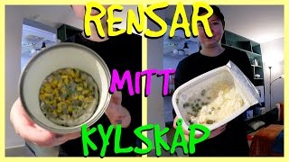 VÄRLDENS MÖGLIGASTE KYLSKÅP  vlogg 15 [upl. by Mansfield822]