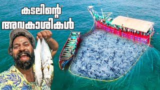 കടലിൽ മീൻ പിടിക്കാൻ കടലിന്റെ മക്കളുടെ ഒപ്പം  Sea Fishing  Day In My Life  M4 Tech [upl. by Granthem]