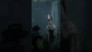 RDR2 Most WANTED Horses Location rdr2 shorts [upl. by Ahtenak]