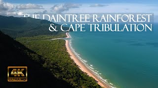 AUSTRALIAS DAINTREE RAINFOREST amp CAPE TRIBULATION 4K UHD  Relaxing nature coast and aerial film [upl. by Ydak]