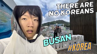 quotI took a spontaneous trip to Busan“ [upl. by Aili]