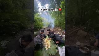 nagaland naga northeastindia friend friendship picnic jungle celebration shorts goviral [upl. by Noired]