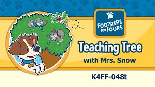 Footsteps for Fours  Teaching Tree [upl. by Nysilla]