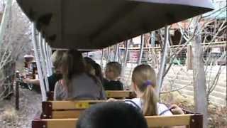 Zoofari Express OnRide  Utahs Hogle Zoo [upl. by Ecilef818]