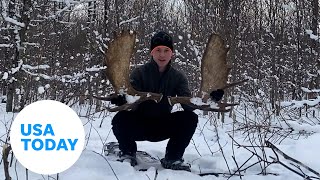 Drone captures onceinalifetime moment moose sheds its antlers  USA TODAY [upl. by Htebilil]