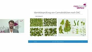 Identitätsprüfung von Cannabisblüten und extrakten Die Arzneibuchmethoden in der Praxis [upl. by Bohannon]