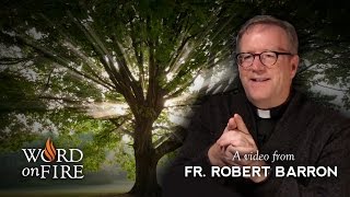 Bishop Barron on The Genealogy of Jesus [upl. by Baseler]