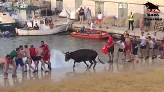 Bous a la mar Ganadería La Paloma Dénia 7 Julio 2018 [upl. by Tadio]