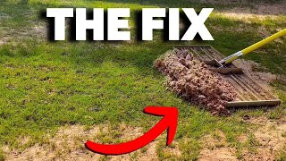 Fix YOUR Lawn Drainage and POA Problems NOW [upl. by Bernadene]