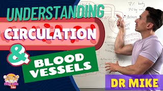 Understanding Circulation and Blood Vessels [upl. by Devin]