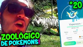 POKÉMON GO 20  CAPTURANDO POKÉMONS NUM ZOOLÓGICO [upl. by Gnuj]