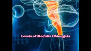 Levels of Medulla OblongataVery Easy ConceptSnells Neuroanatomy [upl. by Uwkuhceki]